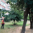 Покос сорной растительности - Администрация г. Усть-Лабинска