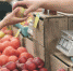 Продукты в магазины Краснодарского края поставляют в штатном режиме - UstLabInfo.Ru