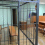 Жителя Усть-Лабинска судят за убийство свидетеля обвинения - UstLabInfo.Ru