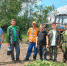 Почти 1,5 тысячи кустов конопли обнаружили в Усть-Лабинске - UstLabInfo.Ru