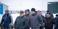 Стерильные «матрасы» для коров - UstLabInfo.Ru
