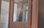 Анна Минькова в суде