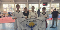 Соколята - UstLabInfo.Ru