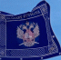 Флаг Всероссийского казачьего общества - UstLabInfo.Ru
